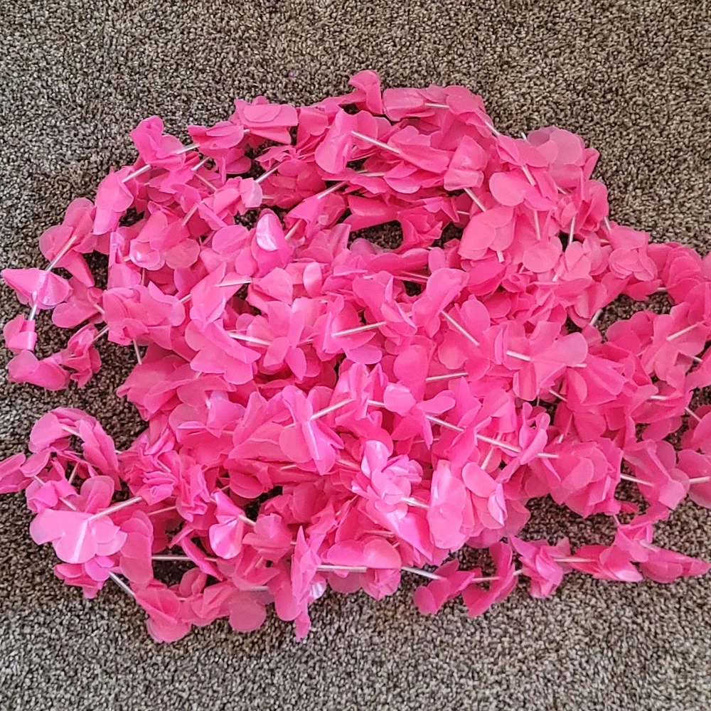 12 Pink Lay's Necklace